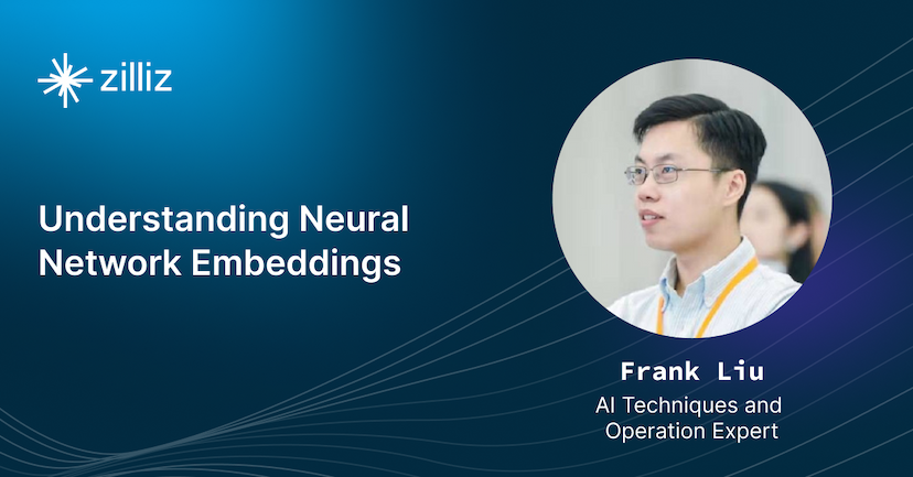Understanding Neural Network Embeddings