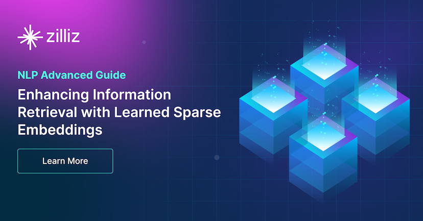 Enhancing Information Retrieval with Learned Sparse Retrieval