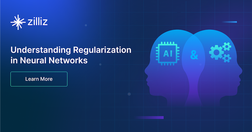 Understanding Regularization in Neural Networks