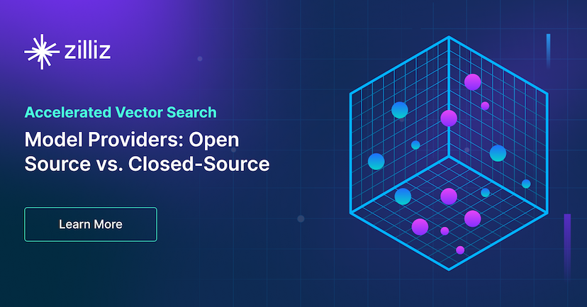 Model Providers: Open Source vs. Closed-Source