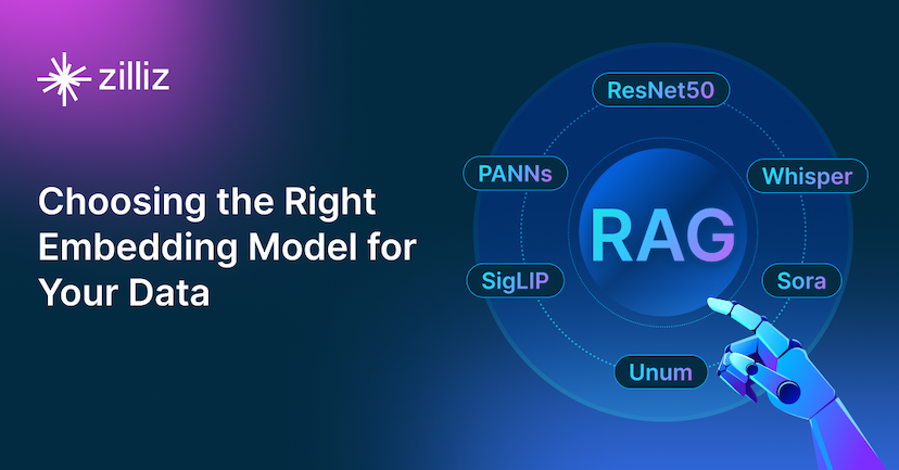 Choosing the Right Embedding Model for Your Data