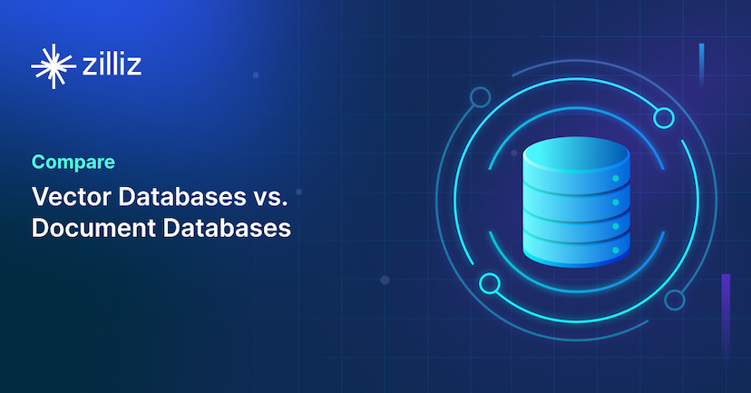 Vector Databases vs. Document Databases