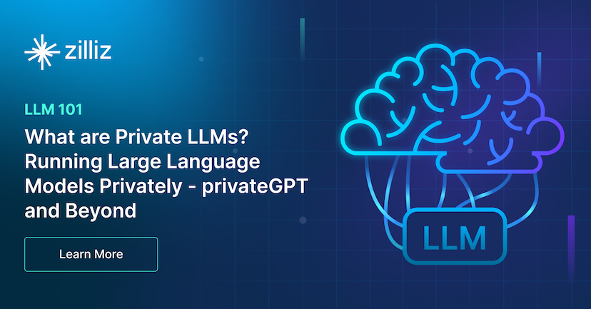What are Private LLMs? Running Large Language Models Privately - privateGPT and Beyond