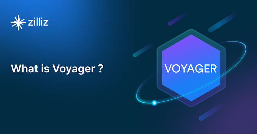 What is Voyager?