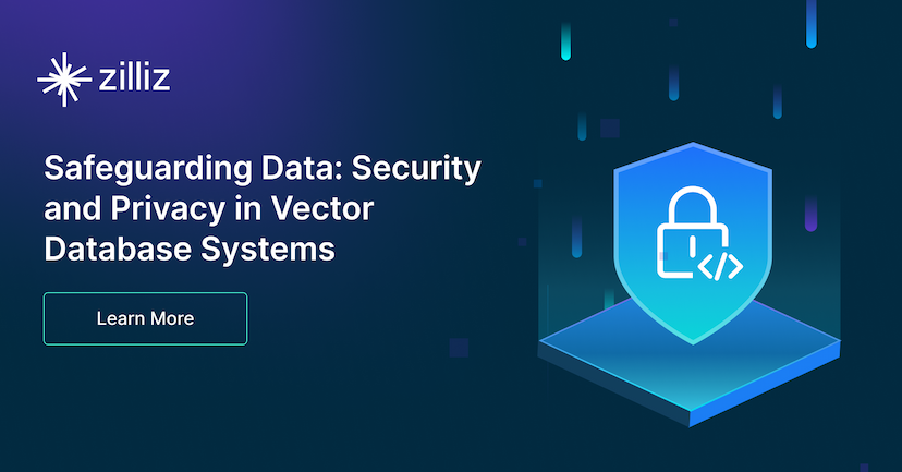 Safeguarding Data: Security and Privacy in Vector Database Systems