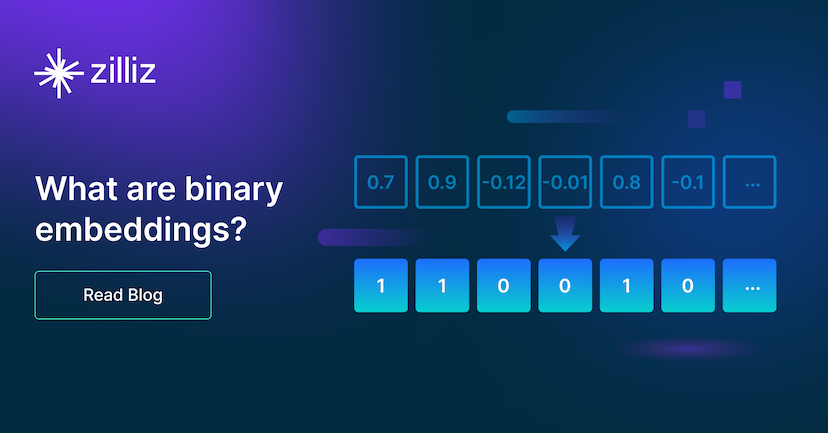 What Are Binary Embeddings?